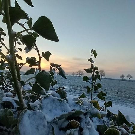 Zum Kranichblick Daire Glinstedt Dış mekan fotoğraf