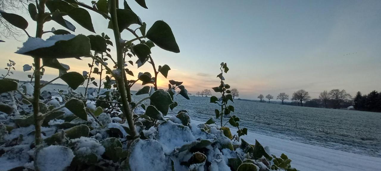 Zum Kranichblick Daire Glinstedt Dış mekan fotoğraf